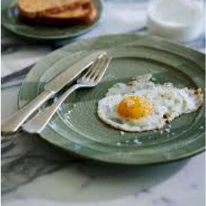 New Anthropologie Glenna Dinner Plates - Set of 4